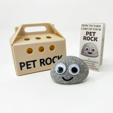 Load image into Gallery viewer, Pet Rock - Novelty Gift Idea - Ideal For Birthday Presents, Wedding Favours, Party Bags etc