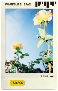INSTAX mini instant film White Border, 20 shot Pack, suitable for all mini cameras and printers