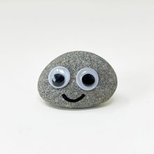 Load image into Gallery viewer, Pet Rock - Novelty Gift Idea - Ideal For Birthday Presents, Wedding Favours, Party Bags etc