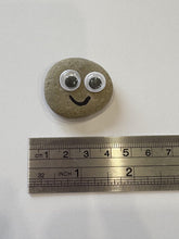Load image into Gallery viewer, Pet Rock - Novelty Gift Idea - Ideal For Birthday Presents, Wedding Favours, Party Bags etc