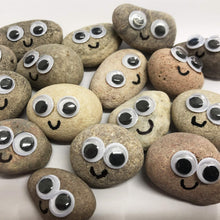 Load image into Gallery viewer, Pet Rock - Novelty Gift Idea - Ideal For Birthday Presents, Wedding Favours, Party Bags etc