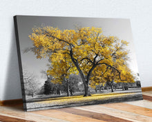 Load image into Gallery viewer, Large Tree Yellow Leaves Black White Canvas Wall Art Picture Print (8in x 12in / 20cm x 30cm)