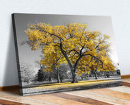 Large Tree Yellow Leaves Black White Canvas Wall Art Picture Print (8in x 12in / 20cm x 30cm)