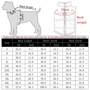 Winter Dog Coat for Large Dogs: Waterproof and Warm for Golden Retrievers