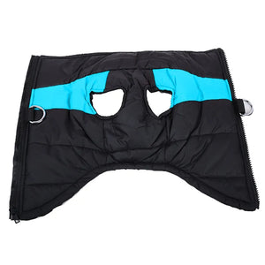 Winter Dog Coat for Large Dogs: Waterproof and Warm for Golden Retrievers