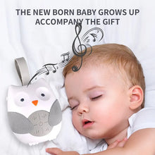 Load image into Gallery viewer, Cartoon Owl Music Pacifier Bed Hanging Children&#39;s Toy Timer Mode Player