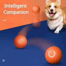 Load image into Gallery viewer, Smart Electric Ball Toy Gravity Jump Balls Dog Plaything USB Charging Automatic Teasing Dogs Artifact Intelligent Pet Cat Toys