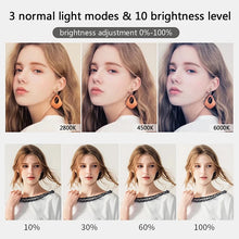 Load image into Gallery viewer, 10 inch LED Selfie Ring Light Dimmable Photography Fill Lamp with Mini tripod for Mobile Phone Live Video Photo Studio Ringlight