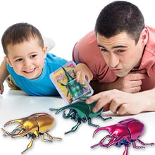 Load image into Gallery viewer, 3PCs Wind-Up Beetle Set - Creative Prankster Toy, Animated Insect Scarab for Kids&#39; Play