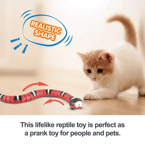 Smart Sensing Cat Toy - Interactive Automatic Snake Teaser, USB Rechargeable Kitten Toy