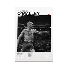Load image into Gallery viewer, Boxing Fighting Star Canvas Wall Art Print Poster MMA Decorative Painting Home Decor Boxing Lover Gift Unframed