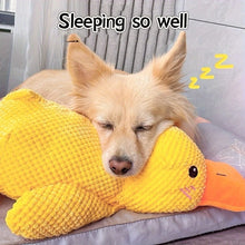 Load image into Gallery viewer, Calming Duck Toy for Dog,Soothing Plush Pet Toys with Sound Quack, Pet Interactive Companion, Chew-Resistant Chew Dogs Cat Toy