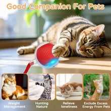 Load image into Gallery viewer, Dog Cat Interactive Ball Toy Automatic Rolling Ball Faux Tail Rechargeable Smart Pet Electric Toy Dog Cat Training Imitate Mouse