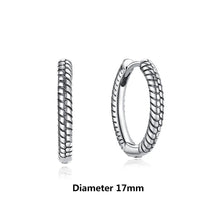 Load image into Gallery viewer, Original 925 Sterling Silver Earrings 2025 Stud Hoop Crystal Earings For Women Rose Gold Crown Heart Infinity Bee Earing Jewelry