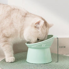 Load image into Gallery viewer, Pet Food Bowl Tilt Design High Bottom Antichoking Dog Cat Water Feeder Feeding