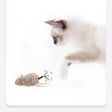 Load image into Gallery viewer, 1Pc Funny Lifelike Plush Mouse Running Rat Toy for Cats Dogs Tail Mouse Pets Kids Random Color