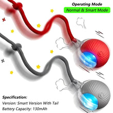 Load image into Gallery viewer, Dog Cat Interactive Ball Toy Automatic Rolling Ball Faux Tail Rechargeable Smart Pet Electric Toy Dog Cat Training Imitate Mouse