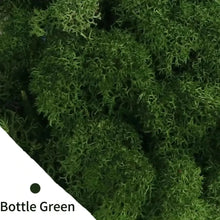 Load image into Gallery viewer, Artificial Green Plants Eternal Life Moss DIY Crafts Grass Garden Home Room Decor Mini Landscape Fake Grass 20/40/100g