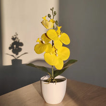 Load image into Gallery viewer, Artificial Butterfly Orchid Bonsai - Potted Plant for Home, Office &amp; Wedding Décor