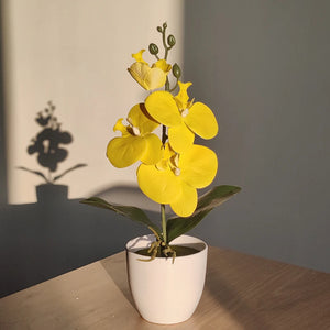 Artificial Butterfly Orchid Bonsai - Potted Plant for Home, Office & Wedding Décor