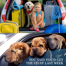 Load image into Gallery viewer, Dog &amp; Cat Car Seat Belt