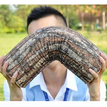 Load image into Gallery viewer, Stump Cushion Creative Big Willow Tree Dummy Wood Block Log Texture Cylindrical Shape Pillow Cushion Sofa Round Stump Shape