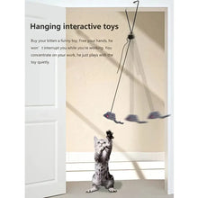 Load image into Gallery viewer, Door Hanging Cat Toy: Stress Relief for Living Room, Interactive Kitten Toy