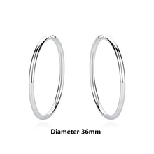 Load image into Gallery viewer, Original 925 Sterling Silver Earrings 2025 Stud Hoop Crystal Earings For Women Rose Gold Crown Heart Infinity Bee Earing Jewelry