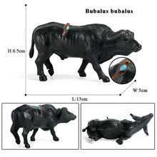 Load image into Gallery viewer, Cute Farm Animals Milk Cow Cattle Calf Angus Bull OX Buffalo Model Action Figures Toy
