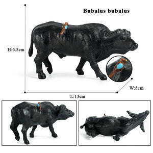Cute Farm Animals Milk Cow Cattle Calf Angus Bull OX Buffalo Model Action Figures Toy