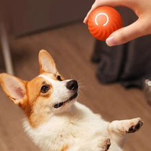 Load image into Gallery viewer, Smart Electric Ball Toy Gravity Jump Balls Dog Plaything USB Charging Automatic Teasing Dogs Artifact Intelligent Pet Cat Toys