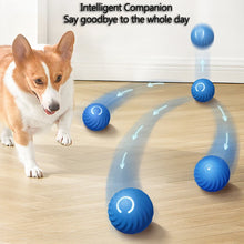 Load image into Gallery viewer, Smart Electric Ball Toy Gravity Jump Balls Dog Plaything USB Charging Automatic Teasing Dogs Artifact Intelligent Pet Cat Toys