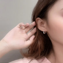 Load image into Gallery viewer, 925 Sterling Silver  Circle Hoop Earrings for Women Fashion Luxury  Crystal Zirconia Earrings Party Wedding Versatile Jewelry