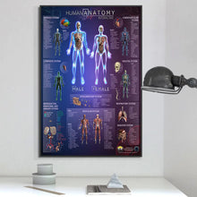 Load image into Gallery viewer, Science Wall Art Muscle System Human Anatomy Diagram Medical Education Supplies HD Oil On Canvas Posters And Prints Home Decor