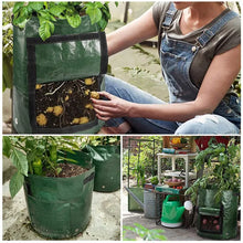 Load image into Gallery viewer, Garden Potato Grow Bag PE Fabric Planter with Handles and Access Flap for Vegetables