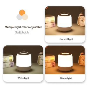 LED Touch Lamp: Portable Night Light for Bedside, Bedroom, and Kids Gifts