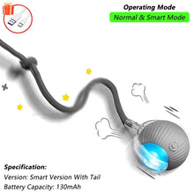 Load image into Gallery viewer, Dog Cat Interactive Ball Toy Automatic Rolling Ball Faux Tail Rechargeable Smart Pet Electric Toy Dog Cat Training Imitate Mouse