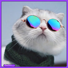 Load image into Gallery viewer, Pet Supplies Cat Dog Glasses Hip Hop Style Photography Accessories Funny Eyewear