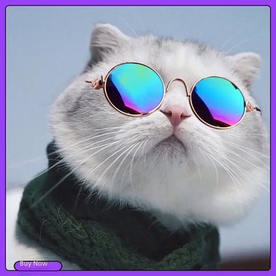 Pet Supplies Cat Dog Glasses Hip Hop Style Photography Accessories Funny Eyewear