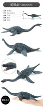 Load image into Gallery viewer, High Quality PVC Jurassic Dinosaur Action Figures – T-Rex &amp; Brachiosaurus Toy Model for Kids