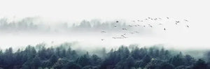 Gorgeous Landscape Canvas Print Painting Lake Forest Mountain Scenery Wall Art Poster For Living Room Bedroom Decoration Picture