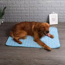 Load image into Gallery viewer, Pet Summer Cooling Ice Mat Breathable Dog Bed Cat Cooling Pad Pet Supplies