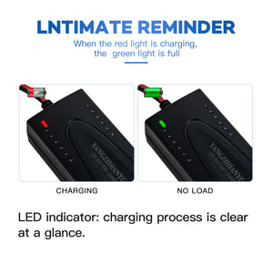 14.6V 1.5A Charger for 12V Lead Acid & 12.8V LifePO Batteries, Fast Charging Universal