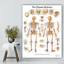 Load image into Gallery viewer, Science Wall Art Muscle System Human Anatomy Diagram Medical Education Supplies HD Oil On Canvas Posters And Prints Home Decor