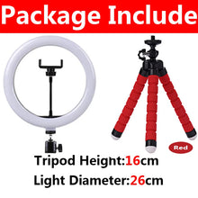 Load image into Gallery viewer, 10 inch LED Selfie Ring Light Dimmable Photography Fill Lamp with Mini tripod for Mobile Phone Live Video Photo Studio Ringlight