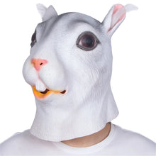 Load image into Gallery viewer, Funny Animal Head Mask - Unicorn, Horse, Eagle, Dove, Halloween Party Cosplay Latex!