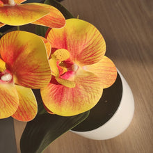 Load image into Gallery viewer, Artificial Butterfly Orchid Bonsai - Potted Plant for Home, Office &amp; Wedding Décor