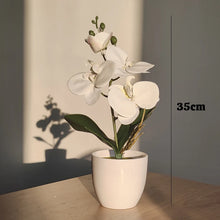 Load image into Gallery viewer, Artificial Butterfly Orchid Bonsai - Potted Plant for Home, Office &amp; Wedding Décor