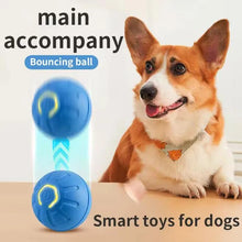 Load image into Gallery viewer, Hot Intelligent pet toy ball electronic pet interactive toy moving ball USB puppy automatic moving bounce gift cat products.