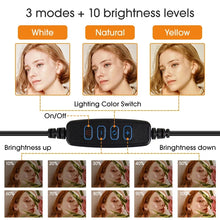 Load image into Gallery viewer, 10 inch LED Selfie Ring Light Dimmable Photography Fill Lamp with Mini tripod for Mobile Phone Live Video Photo Studio Ringlight